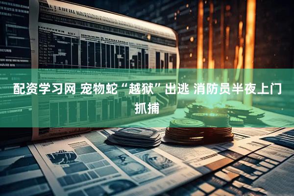 配资学习网 宠物蛇“越狱”出逃 消防员半夜上门抓捕